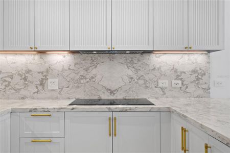 New construction Condo house 3015 S Ysabella Ave, Unit 2301, Tampa, FL 33629 - image 13