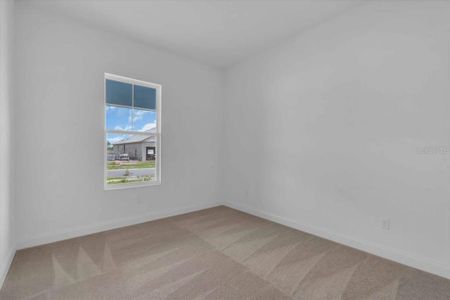 New construction Single-Family house 2515 Wise River Ln, Zephyrhills, FL 33539 - image 11