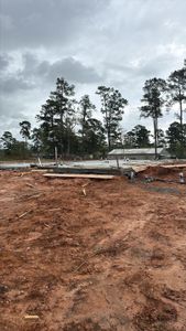 New construction Single-Family house 16859 Deep Wingbeat Wy, Magnolia, TX 77354 plan The Begonia - image 13