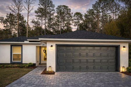 New construction Single-Family house 39 Redwood Track Run, Ocala, FL 34472 - image