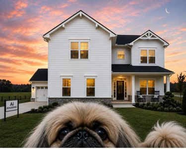 New construction Single-Family house 2645 Strahan Dr, Unit 83, Murfreesboro, TN 37129 plan 2618 Elevation DEF - image