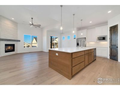 New construction Single-Family house 23835 E River Front Dr, Aurora, CO 80019 - image 10