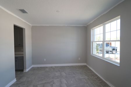 New construction Single-Family house 2350 Clary Sage Dr, Spring Hill, FL 34609 Sonoma II- photo 82 82