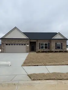 New construction Single-Family house 180 Watershed Ct, Ashland City, TN 37015 - image