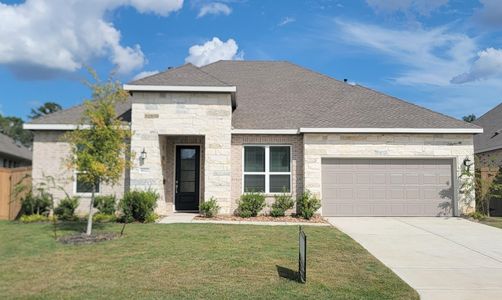 New construction Single-Family house 8022 Coastal Prairie Ct, Porter, TX 77365 plan Denali - image