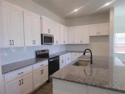 New construction Single-Family house 4544 Sweet Clover Ln, Fort Worth, TX 76036 - image 3