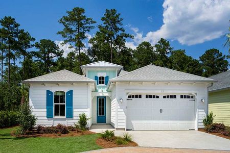 New construction Single-Family house 356 Latitude Blvd, Hardeeville, SC 29927 plan Coconut - image