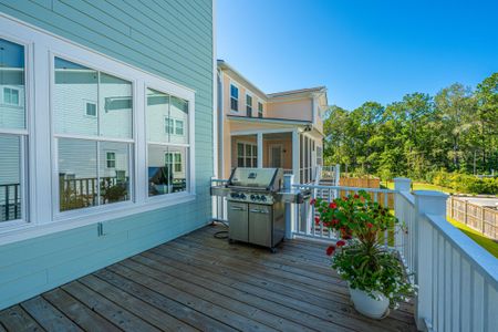 New construction Single-Family house 321 Blowing Fresh Dr, Charleston, SC 29492 - image