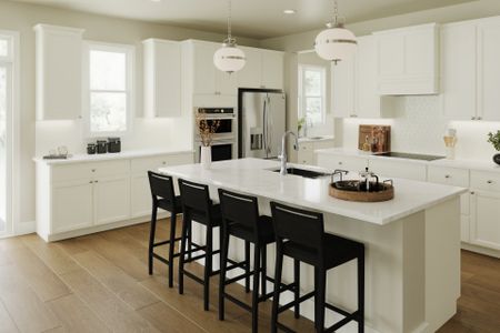 New construction Single-Family house Santa Rosa Beach, FL 32459 plan Carrington - image