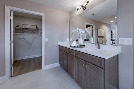 New construction Single-Family house 2011 Town Pasture Dr, Eustis, FL 32726 plan Sims - image 17