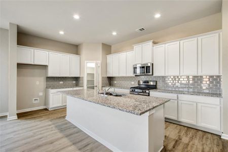 Emberly by Tricoast Homes in Beasley - photo 11 11