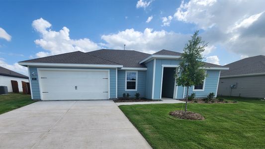 New construction Single-Family house 407 Northern Red Dr, Josephine, TX 75173 plan Alice - image