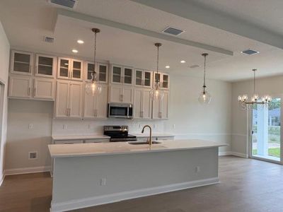 New construction Single-Family house 250 Hawthorn Ave, Palm Coast, FL 32164 - image 6