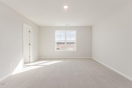 New construction Single-Family house 77 Littlefield Ln, La Grange, NC 28551 - image 16