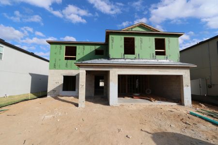 New construction Single-Family house 12252 Hilltop Farms Dr, Dade City, FL 33525 Cabo- photo 18 18