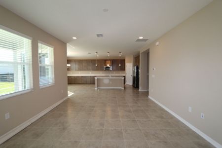 New construction Single-Family house 38326 Tobiano Loop, Dade City, FL 33525 Casanova- photo 113 113