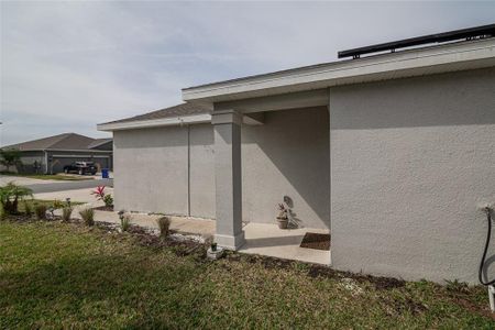 New construction Single-Family house 132 Pineywoods St, St. Cloud, FL 34772 null- photo 25 25