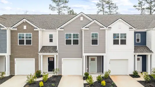 New construction Townhouse house 122 Cypress Hollow Wy, Santee, SC 29142 plan Davis - image