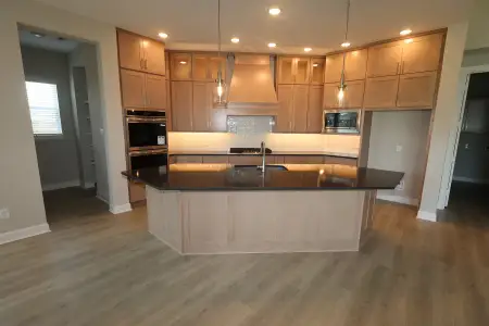 New construction Single-Family house 20515 Via Mimosa Dr, Cypress, TX 77433 plan The Dandelion - image 7