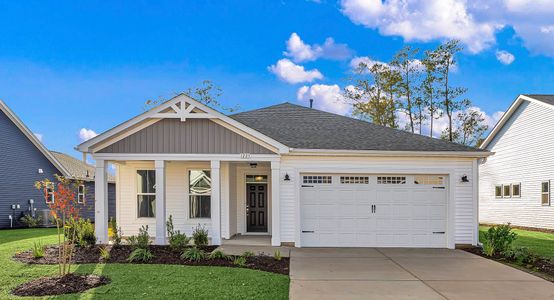 New construction Single-Family house 704 Hackberry Wy, Longs, SC 29568 plan The Redbud - image