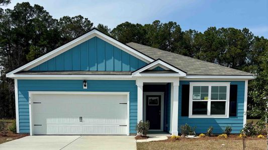 New construction Single-Family house 316 Rookroost Cir, Conway, SC 29526 plan Aria - image