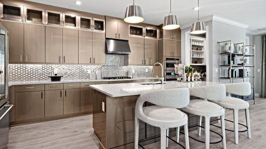 New construction Single-Family house 5035 Shade Forest Dr, Parrish, FL 34219 plan Morgan - image 7