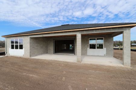 New construction Single-Family house 31119 Hayman Loop, Wesley Chapel, FL 33545 Corina  III- photo 30 30