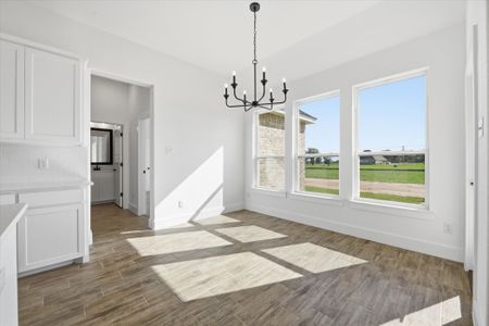 New construction Single-Family house 11 Cattleman Dr, Poolville, TX 76487 plan The Iris - image 13