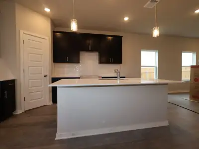 New construction Single-Family house 467 Bishop Wood Rd, Dripping Springs, TX 78620 plan Catarina - Smart Series - image