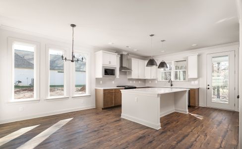New construction Single-Family house 7897 Honeycomb Ln, Chattanooga, TN 37421 plan The Hamilton - image 16