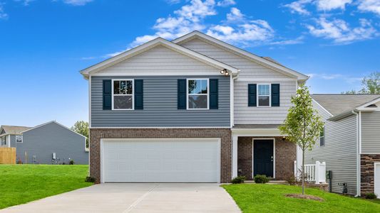 New construction Single-Family house 7 Cranford Rd, Fountain Inn, SC 29644 plan ROBIE - image