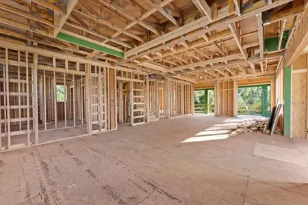 New construction Single-Family house 1309 Errol Green Ct, Apopka, FL 32712 null- photo 11 11