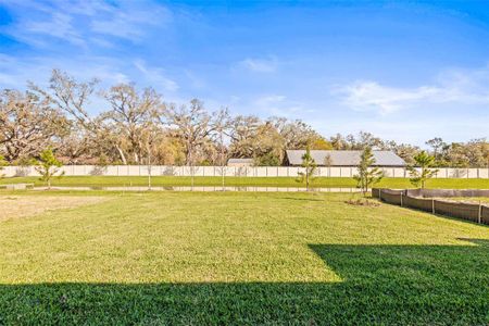 New construction Single-Family house 12652 Glenn Creek Dr, Riverview, FL 33569 Scarlett- photo 44 44