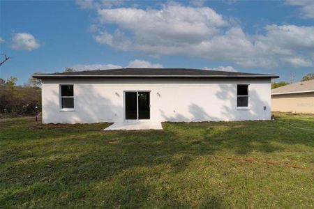 New construction Single-Family house 54 Malauka Trak, Ocklawaha, FL 32179 - image