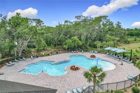 New construction Single-Family house 1304 Berry Ln, Davenport, FL 33837 null- photo 47 47