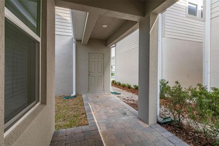 New construction Single-Family house 16294 Honey Harvest St, Winter Garden, FL 34787 null- photo 54 54