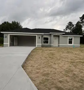 New construction Single-Family house 6000 Sw 206Th Ave, Dunnellon, FL 34431 - image