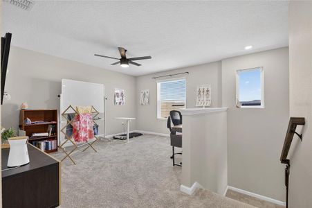 New construction Single-Family house 6255 Golden Beach Dr, Apollo Beach, FL 33572 - image 10