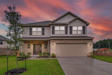 New construction Single-Family house 449 Terra Vista Circle, Montgomery, TX 77356 - photo 0