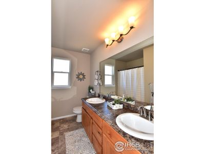 New construction Single-Family house 406 Aurelia Dr, Windsor, CO 80550 null- photo 28 28