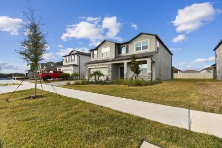 New construction Single-Family house 38433 Pindos Dr, Dade City, FL 33525 Mira Lago- photo 190 190