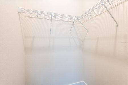 New construction Single-Family house 8749 Drummer Plank Dr, Wesley Chapel, FL 33545 - image 18