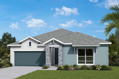 New construction Single-Family house 5262 Colony Vista Dr, Apollo Beach, FL 33572 plan The Briarbrook - image
