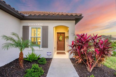 New construction Single-Family house 12735 Aquamarine Ave, Bradenton, FL 34211 - image 3