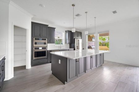 New construction Single-Family house 13001 Harvest Rain Ave, Winter Garden, FL 34787 plan Ozark - image