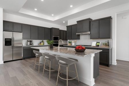 New construction Single-Family house 820 S Hemingway Lp, Liberty Hill, TX 78628 Hallsburg- photo 4 4