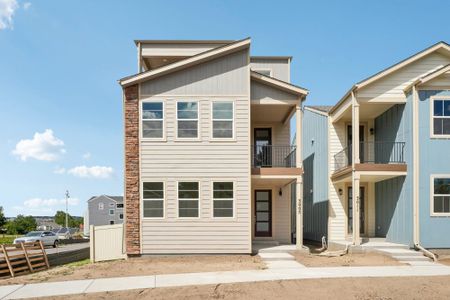 New construction Single-Family house 3005 Curly Grove, Colorado Springs, CO 80922 plan Primrose - image