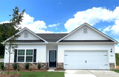 New construction Single-Family house 1503 Doran Ter, Richburg, SC 29729 - image