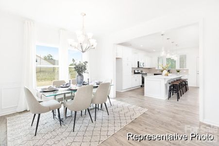 New construction Single-Family house 1131 Lorrie Ln, Unit 405p, Albemarle, NC 28001 - image