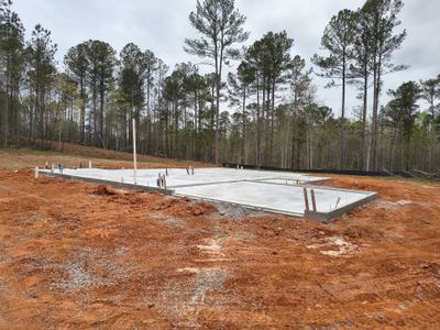 New construction Single-Family house 6179 Rocky Mount Rd, Greenville, GA 30222 plan Avery - image